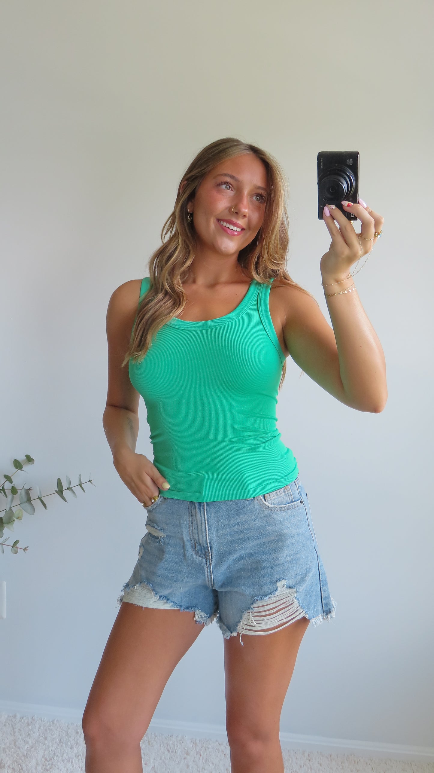 Perfect Layer Reversible Tank