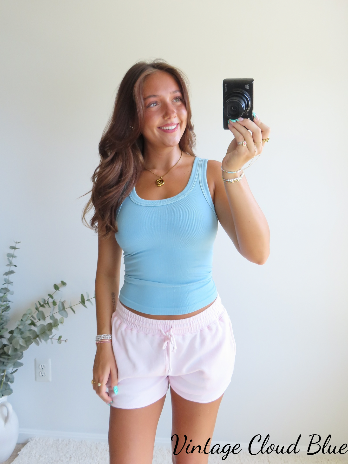 Perfect Layer Reversible Tank