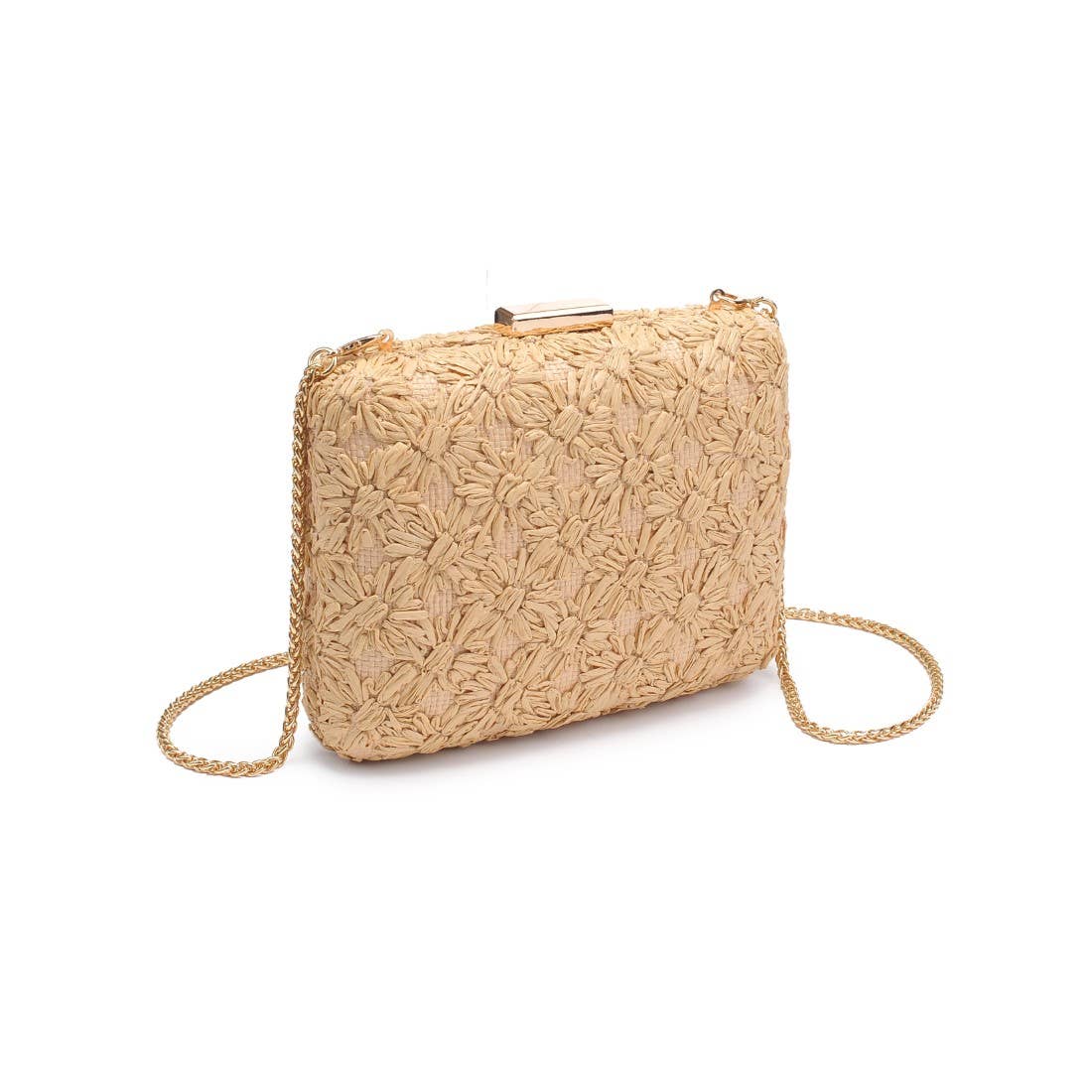 Golden Woven Clutch