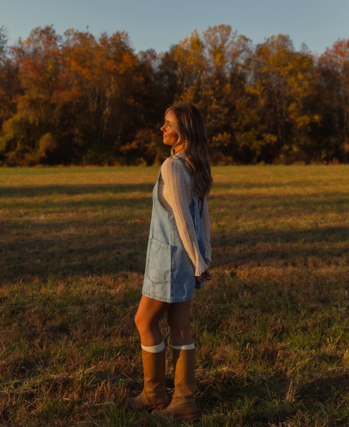 Vintage Skies Overall Dress