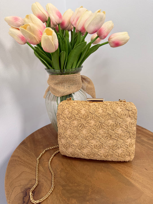 Golden Woven Clutch