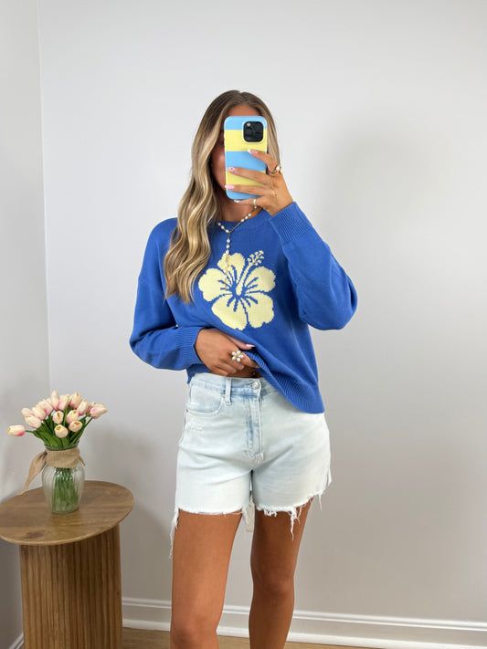 Seashore Denim Shorts