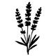 Lavender_Blu_Assets_-_Finals_4.png